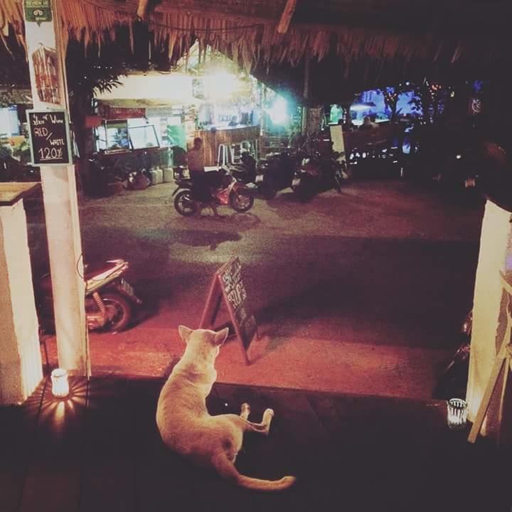 Margaritaville Lonely Beach Hotel Koh Chang Buitenkant foto